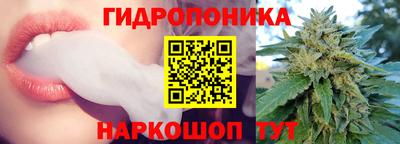 2c-b Новозыбков
