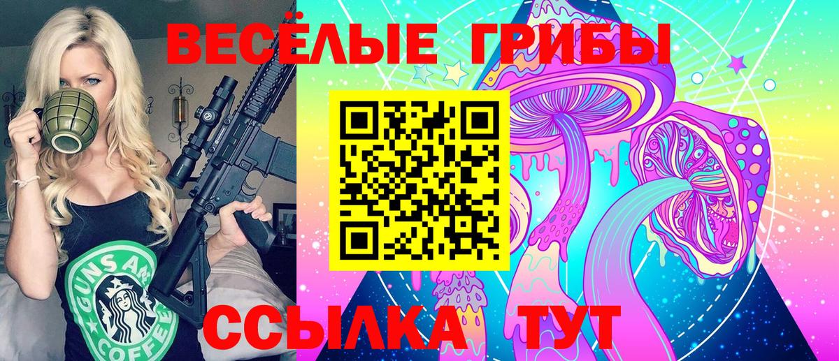 Усолье-Сибирское  Псилоцибиновые грибы Psilocybe  Вход с VPN  Псилоцибиновые грибы GOLDEN TEACHER 